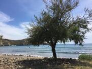 Il Chiosco