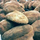 Panificio Vito Elisa