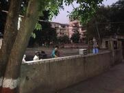 Sainath Omelet center ( manoj )