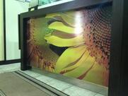 Pizzeria Il Girasole