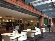 Crocus - Creative Salad