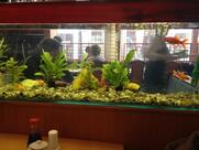 Yanagi - Japanisches Restaurant