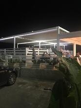 Friggitoria del porto