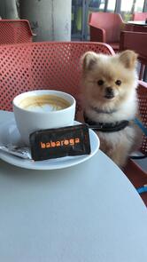 Cafe Babaroga