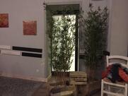 Civico Uno Food&Pizza