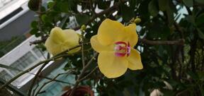 Restaurante Torre Grill