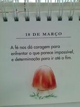 Restaurante Lagostão