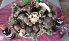 Bar Ristorante Casale Maremma