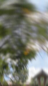 Restaurante Sabor Goiano