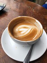 Bloom cafe