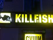 Killfish