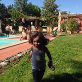 Agriturismo Podere Violino