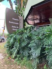 República da Saúde