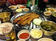 동갈매기