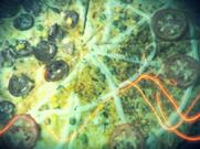 Restaurante e Pizzaria Tia Amelia