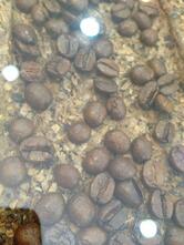 Padaria Emporium Dos Pães