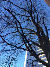 Sônia Hermoza Padaria Artesanal