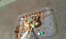 Oliebollerie De Zoete Smaak van Holland