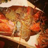 Ristorante il Ducale