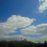 Borgo Riccio - Bar del Riccio