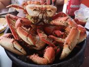 Muvuca Bar e Restaurante