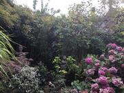Village Tea Rooms