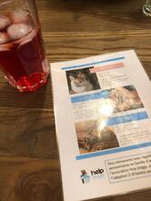 Le Chat Gourmand, Cats & Cookies Bar à Chats Montpellier