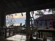 The White Rabbit Cafe