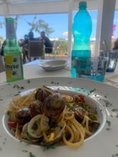 Delfino Club La Plage Srl Bar Caffe Ristorante