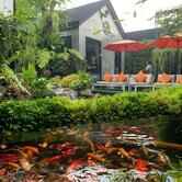Rain Forest Cafe