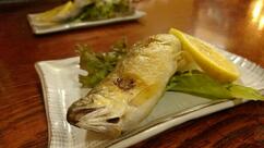 焼鳥 山川屋