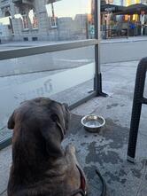 La Bourse du Commerce