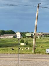 Auberge du Tannenheim