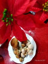 Quinta de Olivares Casa Portuguesa