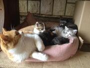 Turistična kmetija Blaž