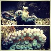 Aquarium Cafe & Resturant