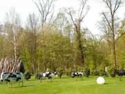 Ristorante Il Nuovo Bosco - La Tenuta