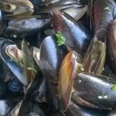 Brasserie La Rotonde