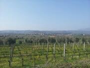 Agriturismo Bel di Bertussi