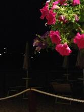Ristorante Dolphin Bay