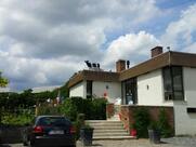 La Vache Sur Le Toit