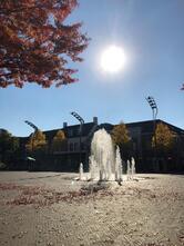 De Artiest eten & drinken Venray