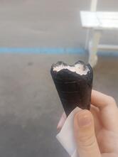 Il Gelato di Beppe