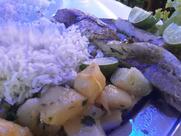 Branca's Restaurante