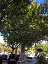 Grand Café du Champ de Mars