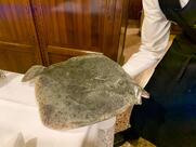 Ristorante Ae Do Paanche