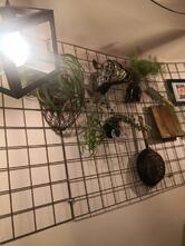 Duecento Grammi Patty & Buns