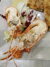 Il Delfino Ristorante Trattoria