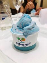 Ilha da Kosta Rui Barbosa