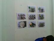 Yakisoba do Matheus ( Dragon)